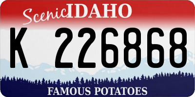 ID license plate K226868