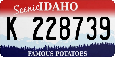 ID license plate K228739