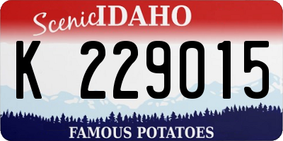 ID license plate K229015