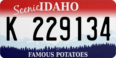 ID license plate K229134