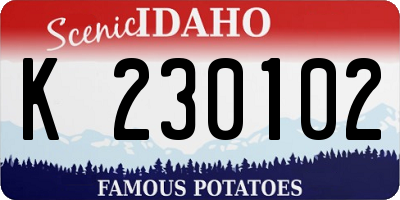 ID license plate K230102