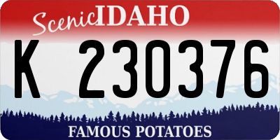 ID license plate K230376