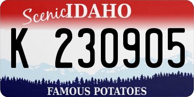ID license plate K230905