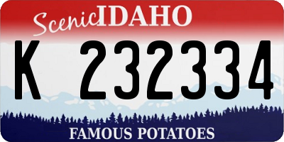 ID license plate K232334