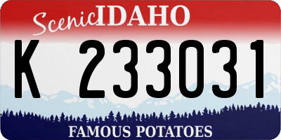 ID license plate K233031