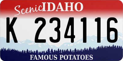 ID license plate K234116