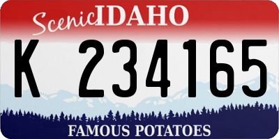 ID license plate K234165
