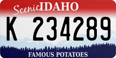 ID license plate K234289