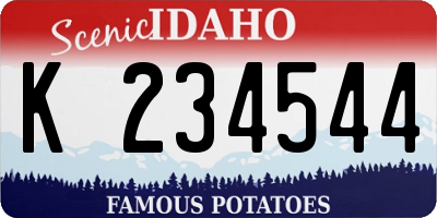 ID license plate K234544