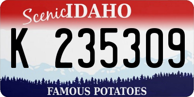 ID license plate K235309
