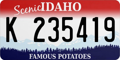 ID license plate K235419