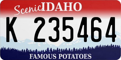 ID license plate K235464