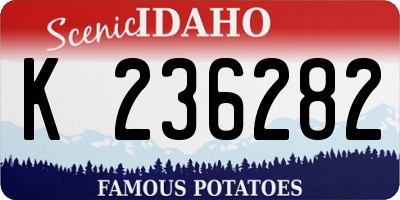 ID license plate K236282