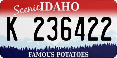 ID license plate K236422