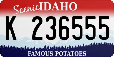 ID license plate K236555