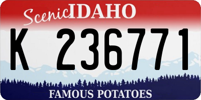 ID license plate K236771