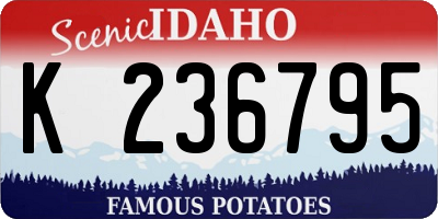 ID license plate K236795