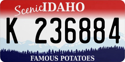 ID license plate K236884