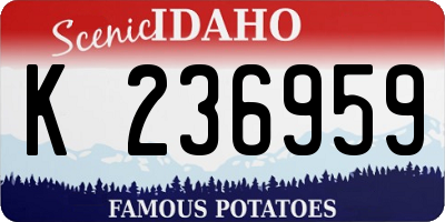 ID license plate K236959
