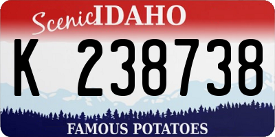 ID license plate K238738