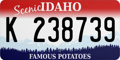 ID license plate K238739