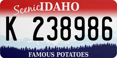 ID license plate K238986