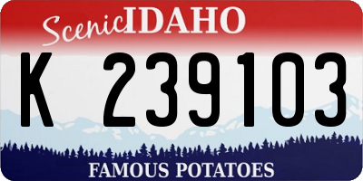 ID license plate K239103