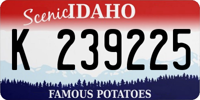 ID license plate K239225
