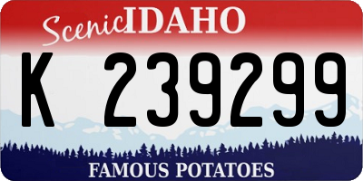 ID license plate K239299