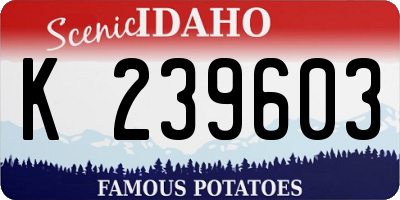ID license plate K239603