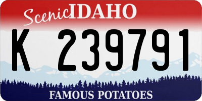 ID license plate K239791