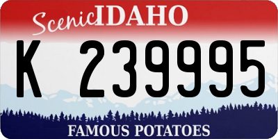 ID license plate K239995