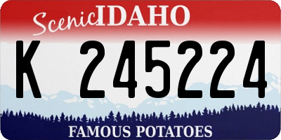 ID license plate K245224