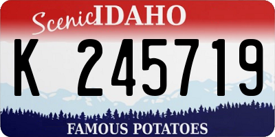 ID license plate K245719
