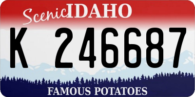 ID license plate K246687