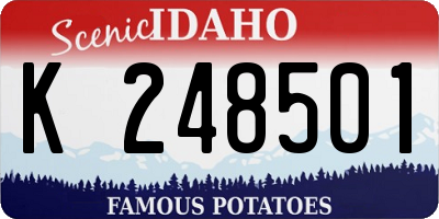 ID license plate K248501