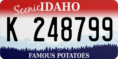 ID license plate K248799