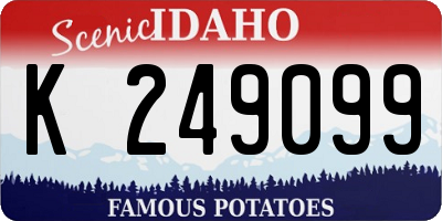 ID license plate K249099