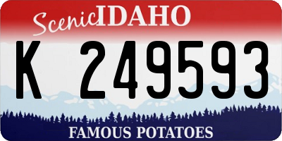 ID license plate K249593