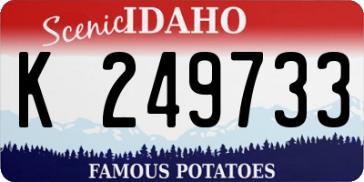 ID license plate K249733