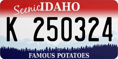 ID license plate K250324