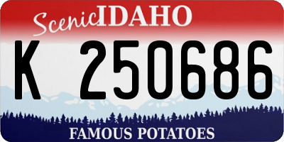 ID license plate K250686