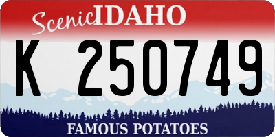 ID license plate K250749
