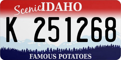 ID license plate K251268