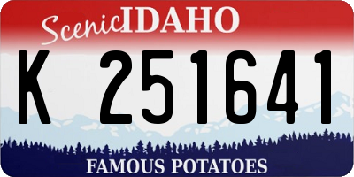 ID license plate K251641