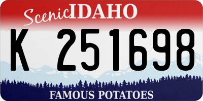 ID license plate K251698