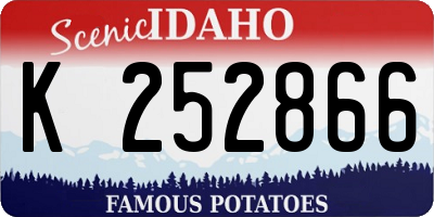 ID license plate K252866