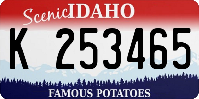 ID license plate K253465
