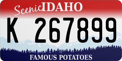 ID license plate K267899