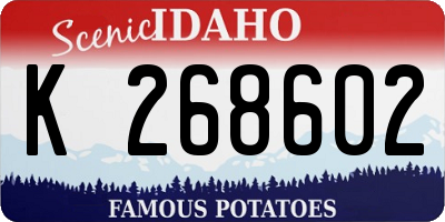 ID license plate K268602